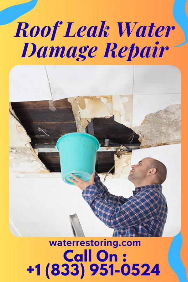 Roof Leak Water Damage Repair in Oregon City, OR